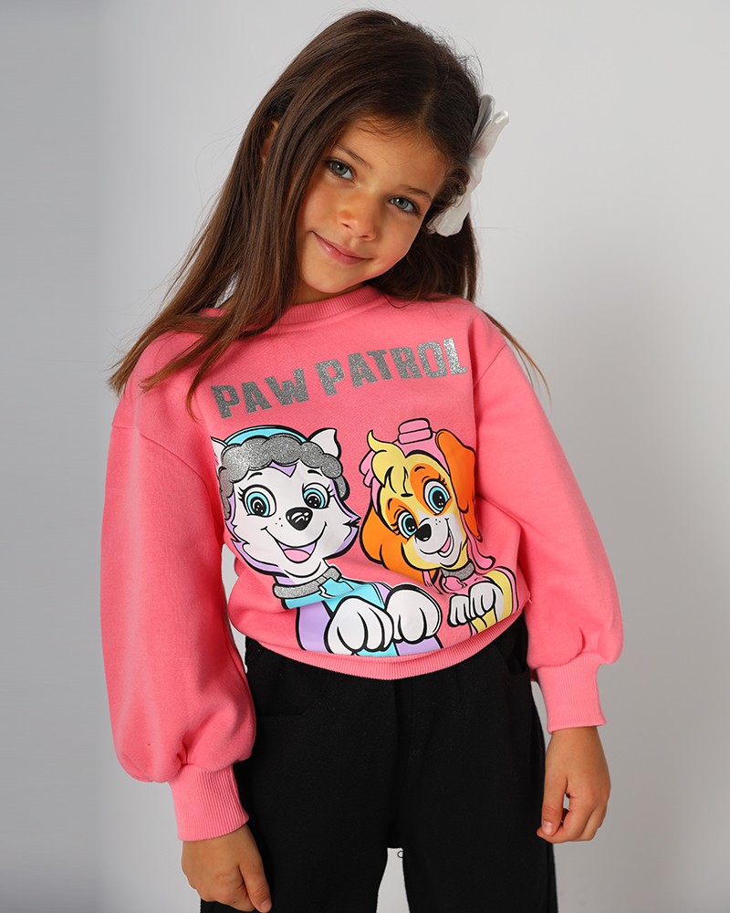 Paw patrol clearance sweatshirt