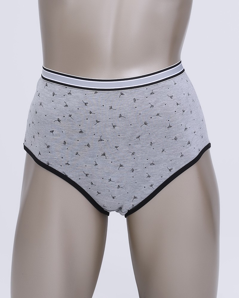 Cotton Panties With Print