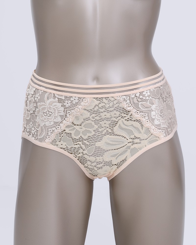 Women’s Mid-Rise Lace Brief Panty With Perforated Design